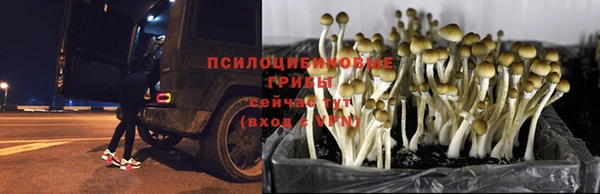 крисы Остров