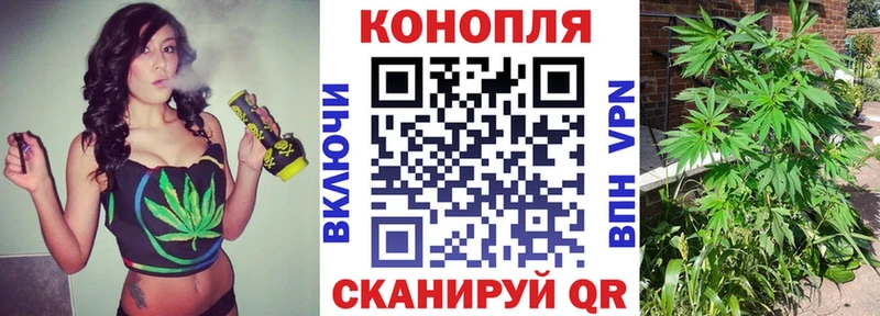 купить наркоту  Пестово  Марихуана сатива 
